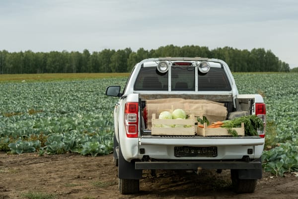 The 5 Best Pickup Trucks in Kenya: Which One Can Handle Your Hustle?