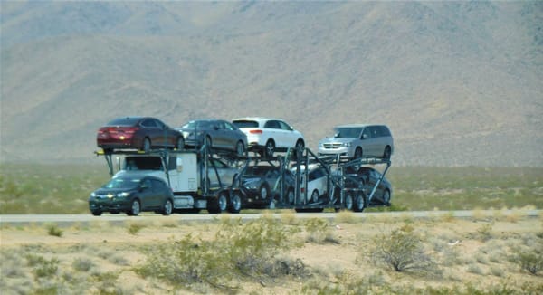 Hatchback vs. SUV in Kenya: Which Ride Truly Suits Your Grind?